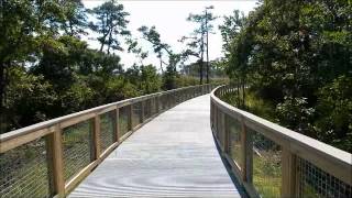 Gordons Pond Trail Cape Henlopen State Park [upl. by Leoj675]