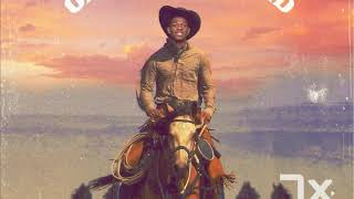 Panini  Lil Nas X lyric [upl. by Llednol348]