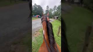 Video of Canebrake Horse Camp NC from Jackie S [upl. by Kelson]