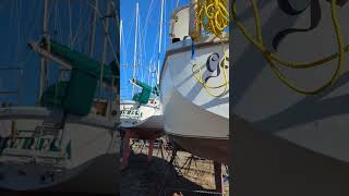 Catalina 30 project boat just got hauled catalina30 boat sailboat boatprojects diy hudsonriver [upl. by Einnej492]