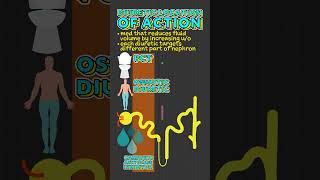 Diuretic Location of Action Facts [upl. by Champ]