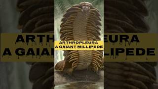 Meet Arthropleura The GIANT Prehistoric Millipede That Ruled Ancient Forestsquot shortsviralfacts [upl. by Roderigo]