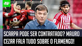 quotPelo que EU APUREI sobre o Scarpa o Flamengoquot Mauro Cezar FALA TUDO [upl. by Myron59]