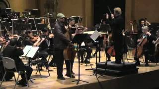 Double Concerto Chesky  TPO Jeffery Meyer cond Rachel Golub vln Dave Eggar vc [upl. by Eniloj]