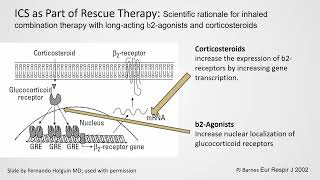 Treatment Options in Severe Eosinophilic Asthma [upl. by Yrrej]