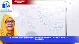 Subject Science Topic Human Ear Neche miss ka nam wth degrees [upl. by Rrats]