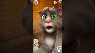 catreactions talkingtommasti catlovers catdubbing funnyvideo joksandfonyvideo cat funny [upl. by Aeslehc544]