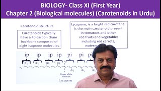 Lipids  Carotenoids  First Year Biology  Chapter 2  Part 15 [upl. by Saeger]