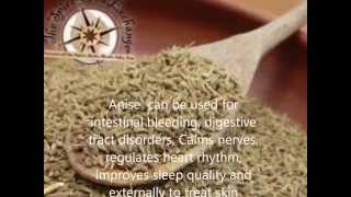 Anise Benefits And Side Effects Medical Herbs in Egypt [upl. by Coward]