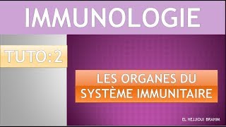 IMMUNOLOGIE 3 TUTO 2 Les organes du système immunitaire [upl. by Ahsemik]