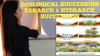 Ecological successionBiotic community successionHYDRARCHXERARCHpioneer amp climax class12NEET [upl. by Chanda]