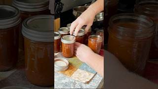 Homegrown A1 Inspired Steak Sauce canning homesteading garden [upl. by Breger196]