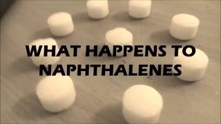 What Happens when NAPHTHALENE is exposed to [upl. by Nereus]