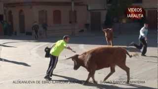 RECORTADORES EN APUROS 2013 ALDEANUEVA DE EBRO [upl. by Yntruoc104]