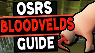 The Ultimate Bloodvelds Guide Old School Runescape [upl. by Rick]