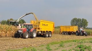 Claas Jaguar 950  Loonwerken Luc Willems  mais 2013 [upl. by Geoff]