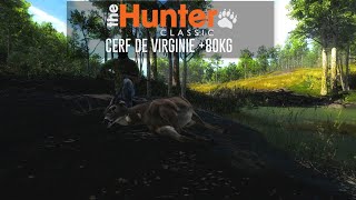 theHunter Classic  Cerf de Virgine 80kg [upl. by Volpe130]