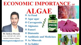 Economic Importance of Algae agaragar Diatomite as food Carrageenin Alginates [upl. by Pyle]