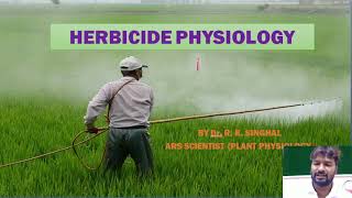 Herbicide Physiology [upl. by Gould]