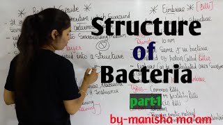 Structure of Bacteria  in hindi Bacteriology  By Manisha Maam  Microbiology [upl. by Dnanidref773]