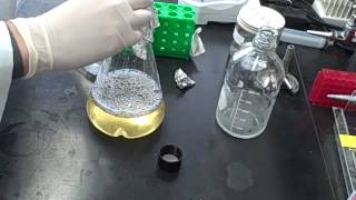 How to make competent Ecoli cells [upl. by Iznekcam]