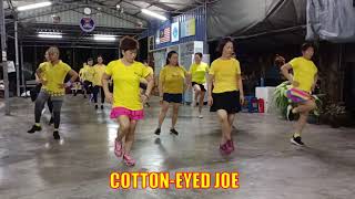 Cotton eyed Joe line dance [upl. by Armstrong]