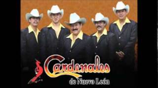 los cardenales mix [upl. by Chloette501]