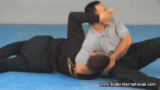 COMBAT HAPKIDO GROUND SURVIVAL DAVID RIVAS [upl. by Ruelu634]