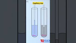 Capillary riseplusinephysicsshorts capillarity [upl. by Mauricio456]