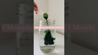 Chlorophyll Water for 1 Month Results Shorts [upl. by Almena414]