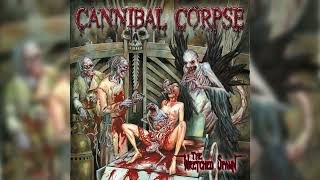 Cannibal Corpse  quotThe Wretched Spawnquot Full album [upl. by Leamhsi]