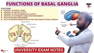 Functions of Basal Ganglia Connection of Basal Ganglia  CNS Physiology [upl. by Aloel724]