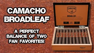 FIRST TAKE CAMACHOS NEW BROADLEAF CIGAR [upl. by Enialedam625]