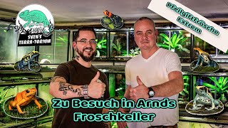 Pfeilgiftfrösche Extrem  Zu Besuch in Arnds Froschkeller Dendrobates tinctorius [upl. by Haliek]