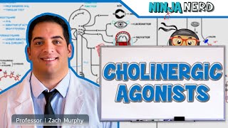 Autonomic Pharmacology  Cholinergic Agonists [upl. by Jonati]