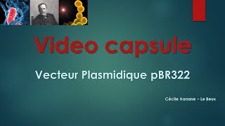 Video Capsule  Vecteur plasmidique pBR322 [upl. by Naj]