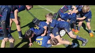 The Dunedin Wobbegong Sharks vs Arrowtown Tui  NZ Junior Rugby Festival in Queenstown 2024 [upl. by Eah]