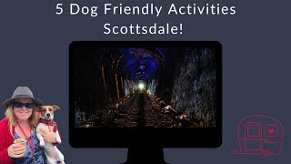 Scottsdales Most DogFriendly Activities 🐾 [upl. by Bilek]