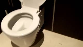 Newer Stylish DURAVIT Toilet [upl. by Aivax]