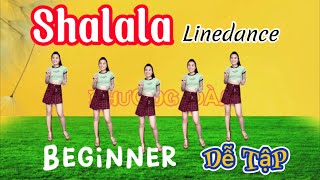 SHALALA  remix linedance beginner dành cho người mới tập [upl. by Onia843]