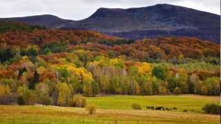 Bieszczady Jesienią  Kolorowe Szlaki [upl. by Ecnerrot]