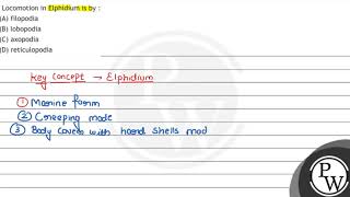 Locomotion in Elphidium is by  A filopodia B lobopodia C axopodia D reticulopodia [upl. by Nobel779]