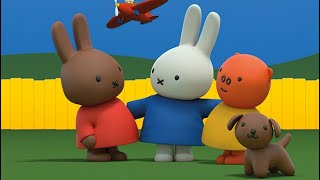 Miffy’s World Miffy is finally going fruit picking applepicking miffy world bunny cute [upl. by Duahsar]