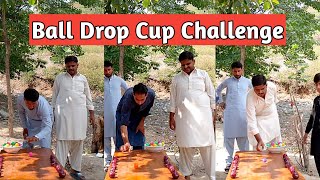 Ball Drop The Cup Challenge  Challenge Video [upl. by Notreve655]