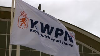 Horsentral KWPN Hengstenkeuring 2014 [upl. by Jarrad]