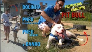 EXERCICIOS COM MEU PIT BULL [upl. by Nivlam]