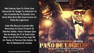 Tu Paño De Lagrimas  LuiG 21 Plus Ft Arcangel Video Letra Reggaetn 2014 [upl. by Claudy]