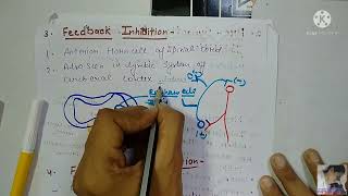 Synaptic transmission 2chart of EPSP and IPSP Types of Inhibition in synapse [upl. by Jessalin409]