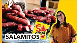 RECEITA SALAME TIPO SALAMITOS  COMO FAZER SALAME FÁCIL E RÁPIDO  CHARCUTARIA SAL DE CURA [upl. by Yuille]