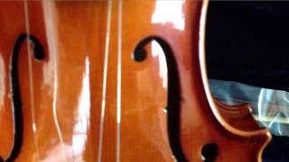 Saga Cremona Cervini HV300 Violin Unboxing amp Inspection [upl. by Abdel360]